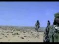 Tinariwen, imidiwan Afrik tendam