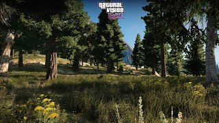 GTA 5  RTX 2060 Real Life Weathers Enhancement With Realistic Forest Add On