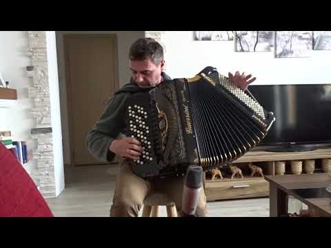 Tinetovo kolo - Guerrini Champion PRESIDENT ORO Elegant.