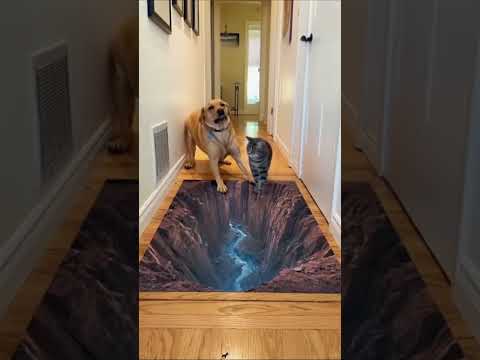 Fake 3d Hole Prank 🐶😂