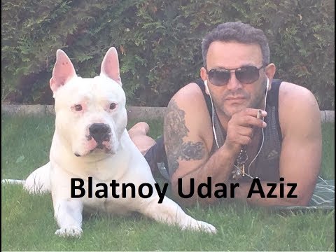 (✵18)Blatnoy Udar Aziz - ✵ Pod Kaifam ✵ (2018 Live)