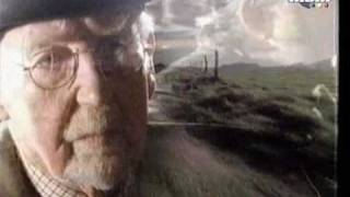 Noir Désir - Aux Sombres Heros De L&#39;amer