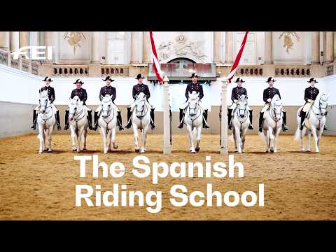 Dive into the history of the iconic Lipizzaner stallions in Vienna | RIDE presented by Longines