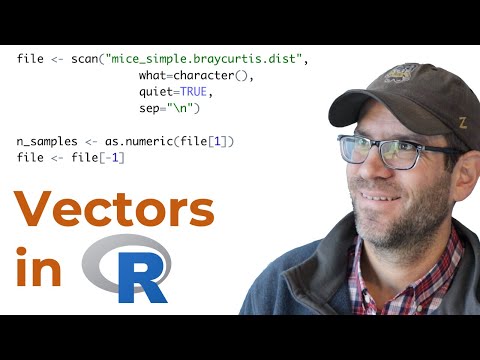 Using base R to access and remove values from a vector (CC171)