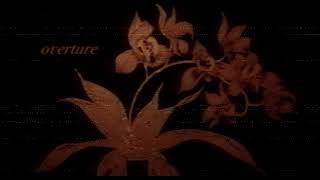 Euphoria S2E7 INTRO Alberto Sordi - Amore mio Aiutami #2  by Piero Piccioni