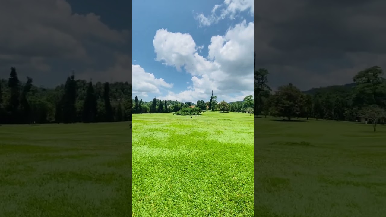 YouTube Short thumbnail