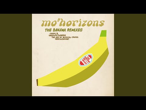 Banana Boogie (Sono Rhizmo' Remix)