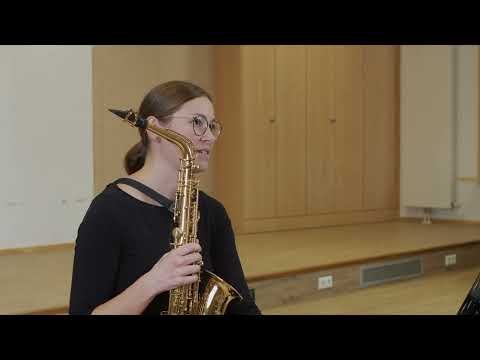 Saxophon "Einsamer Wanderer" - Saxofon (D2)