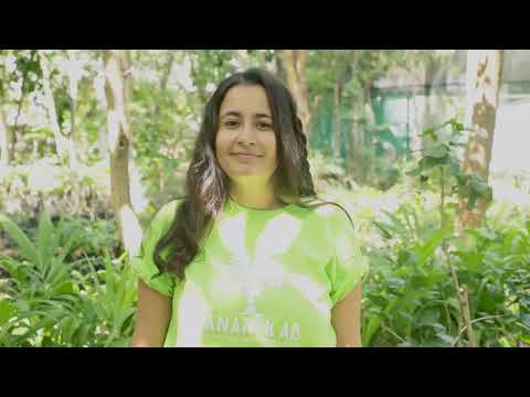 Support Kanan Kab to plant 25,000 trees in Yucatan