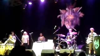 Rhyme and reason - The cat empire - Rio de Janeiro