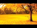 Love Free by George Herbert 