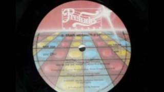 D Train House Megamix 12"