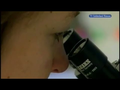 GLD Nieuws 20 mei 2008 - Nieuws