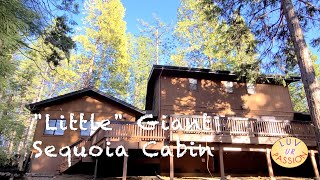 Sequoia Cabin | Relaxing Vacation Rental | Arnold CA