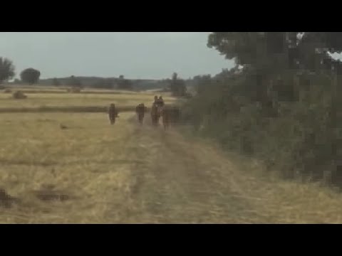 А бре воденичарче / A bre vodenicare / Александар Сариевски / Васка Илиева