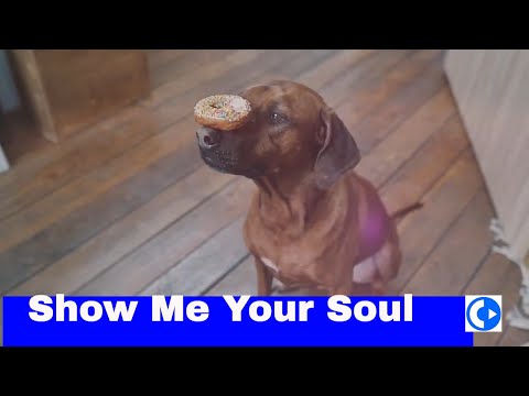 Jesse  Lawrence SLCT feat. Ami Cissé - Show Me Your Soul (SLCT Remix) music video by ChillSelector
