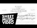 Schubert Piano Sonata No. 14 in A minor, D. 784 (FULL)