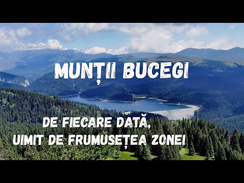 Podul cu florile, Bolboci, Munții Bucegi, România