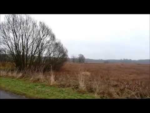 Oferta LCOI URBAN-Maleniec