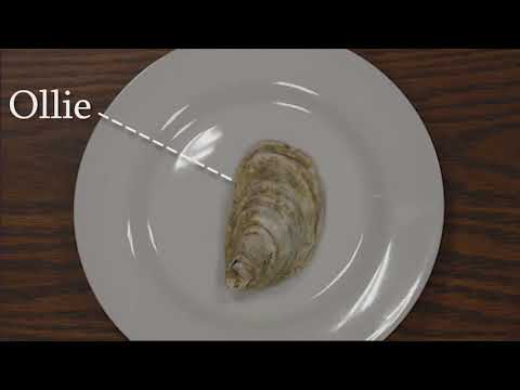 2018 Summit – Storyfest Grand Prize Announcement