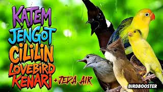 Download lagu MASTERAN SATU JALUR   JEDA TERAPI AIR GARANSI CEPAT MASUK! mp3