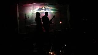 Falling ~ Poi dog Pondering