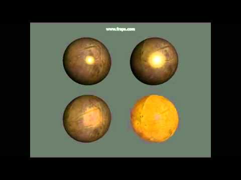 Real Time Rendering - Shading and Illumination