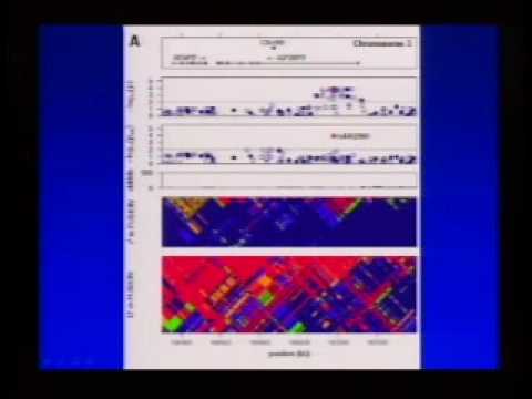 Common Disease Findings