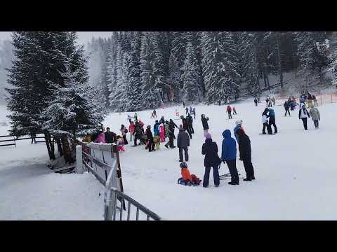 Poiana Brașov-Partia Bradul-Panoramă (11 Ian 2025)