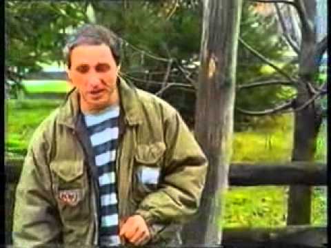 VESELIN VESA PAULJESKOVIC - FA LUNJICA.