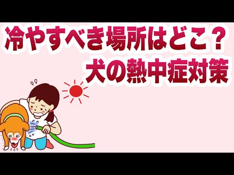 犬を冷やす方法