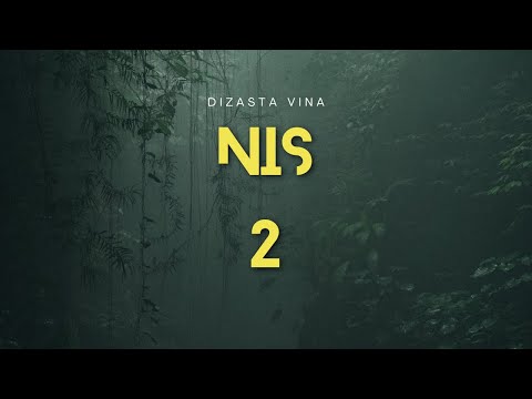 Dizasta Vina - Nobody is safe 2