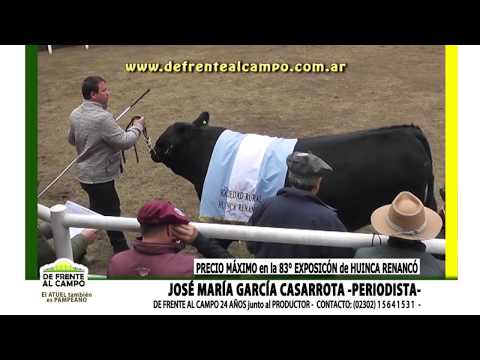 DE FRENTE AL CAMPO junto a la 83° EXPOSICIÓN RURAL de HUINCA - REMATE GRAN CAMPEÓN-