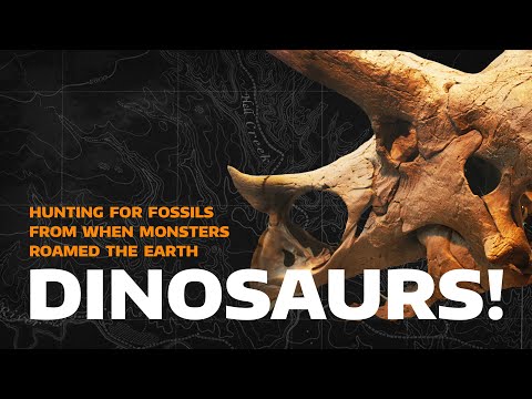 How to Dig Up and Preserve a Dinosaur