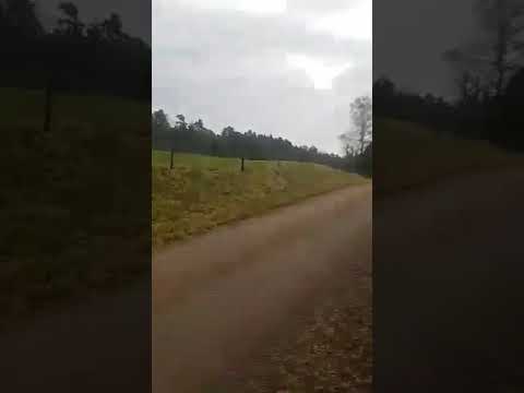 jakt med drevern räkan