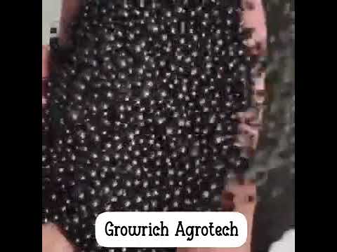 Granules soil conditioner fertilizer, packaging type: hdpe b...