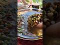 புரதசத்துள்ள நவதானிய தோசை Multigrain Dosa Recipe Navad