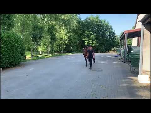 Upper Class:URIKO x CORRADO I