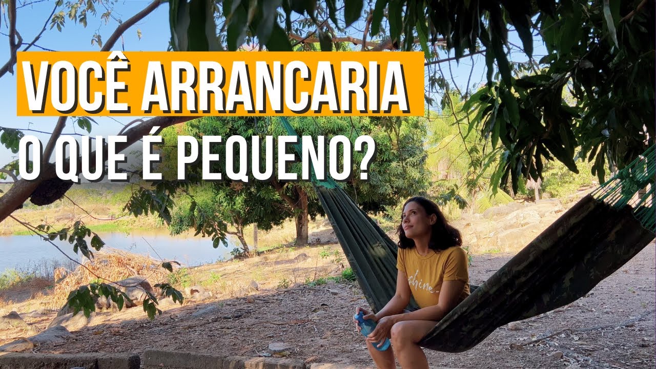 Um conselho que o Espírito Santo me deu - Isso também pode te ajudar no que você for começar!