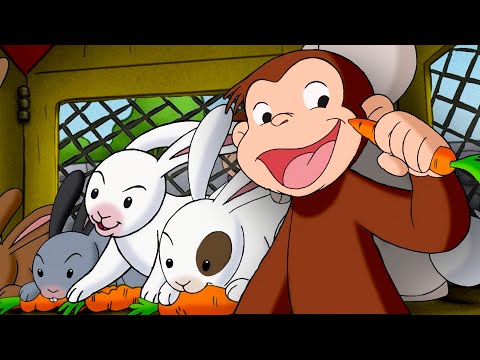 ニンジンはどうやって育つの？ 🐵 おさるのジョージ