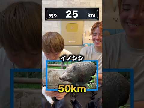 生き物の速さで0ピッタリを目指せ！！