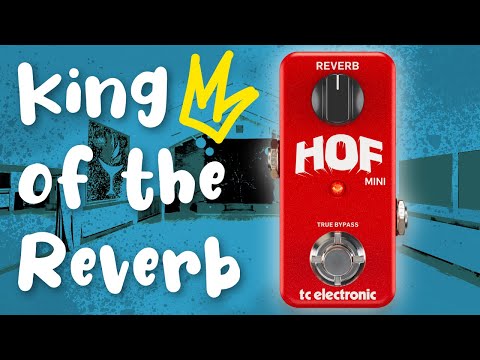 The KING of budget verb? TC Electronic Hall of Fame Mini
