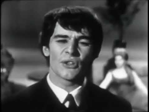 The Zombies  -  She's Not There  -  1965.