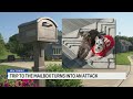 KCK Family Walking To Mailbox Attacked By Three Dogs