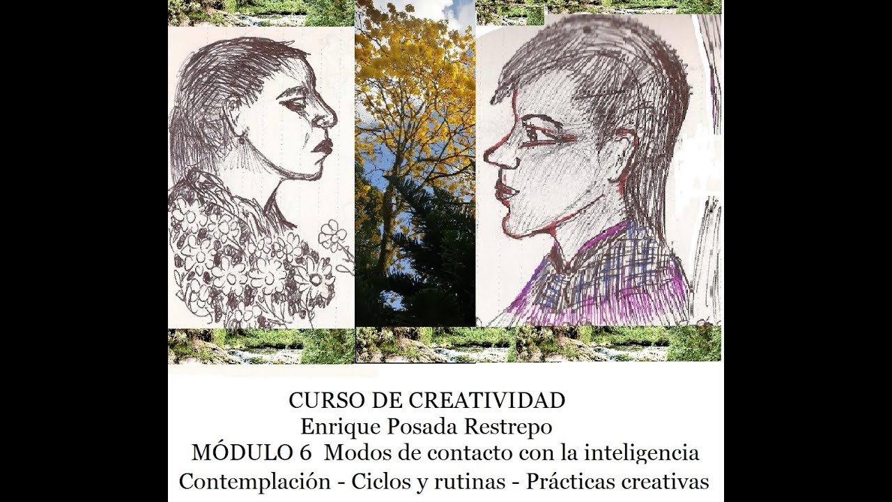 Este es el módulo 6 de mi curso sobre creatividad