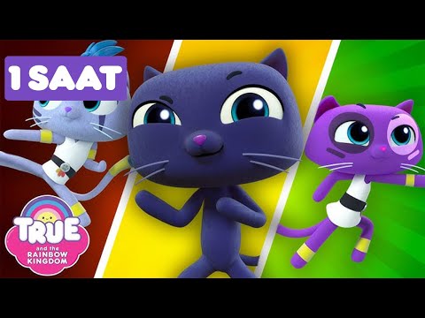 1 SAAT: True ve Gökkuşağı Krallığı 🌈  Çizgi Film - Cartoon Network