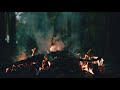 Gus Black - The World Is on Fire (Türkçe Çeviri)