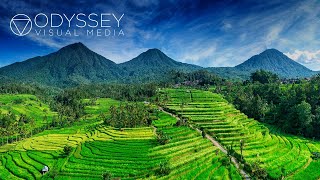 Download lagu Bali Rice Terrace Aerial Adventure | Indonesian Island Travel Experience | UNESCO Jatiluwih Drone mp3