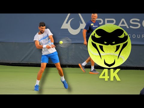 Novak Djokovic SMASHING Backhands in Slow Motion 4K