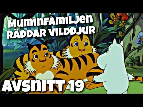 I Mumindalen avsnitt 19 - Muminfamiljen räddar vilddjur